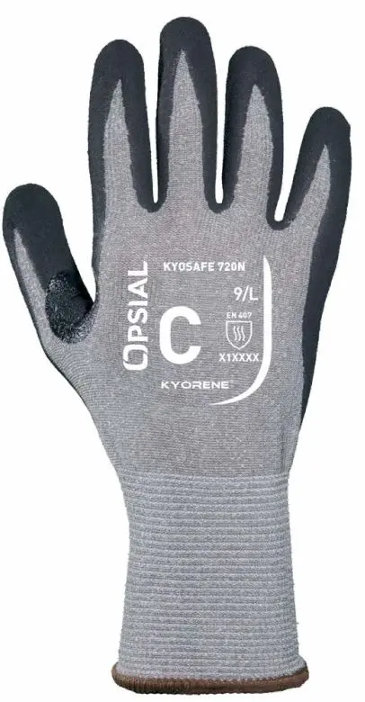 303635_KYOSAFE 720